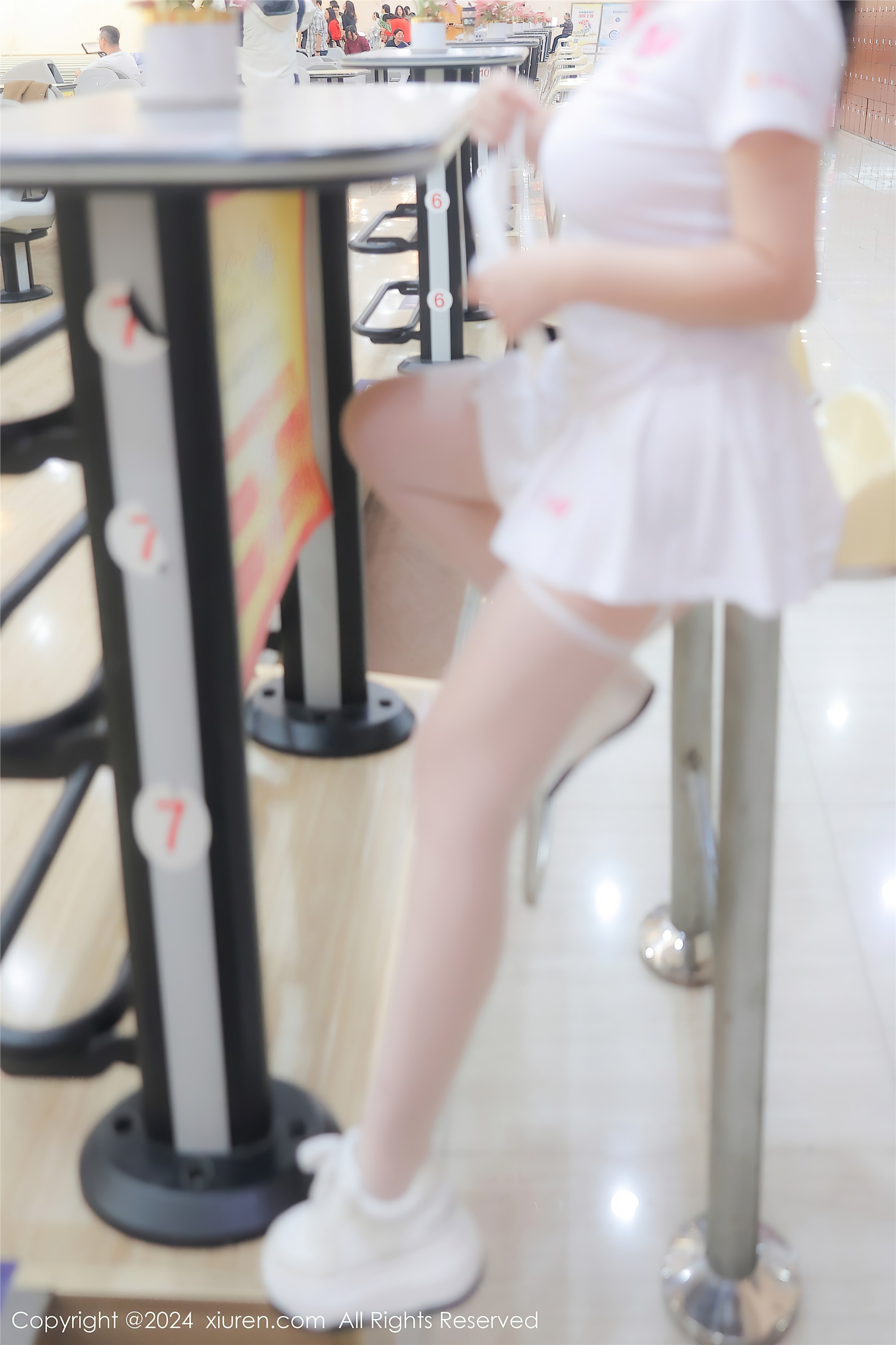 Xiuren秀人网 2024.02.20 NO.8118 小薯条nienie